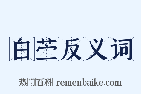 白苎反义词是什么意思的图片